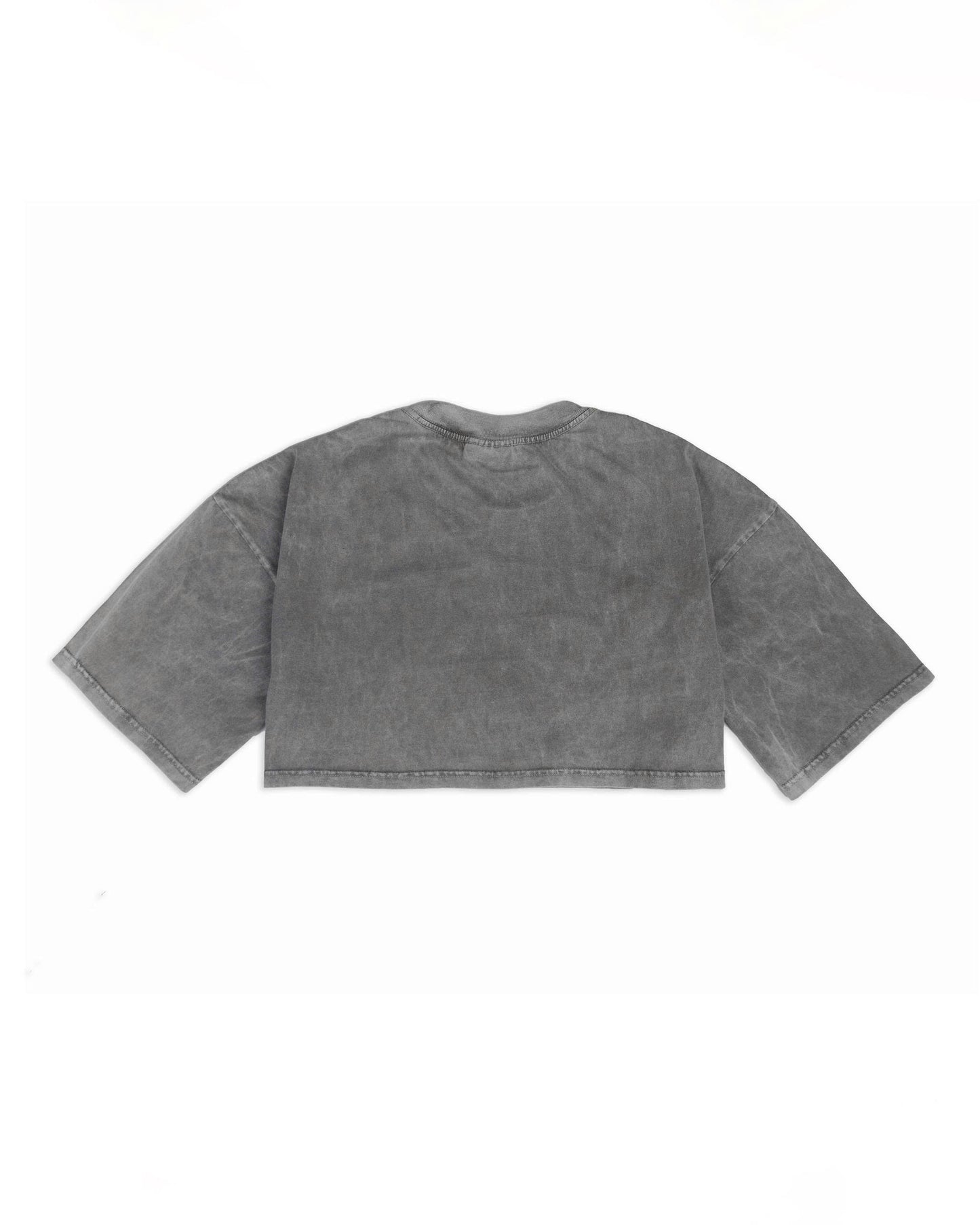 TCW1 - "FNOSVERSE" CROPTOP WASH - GREY