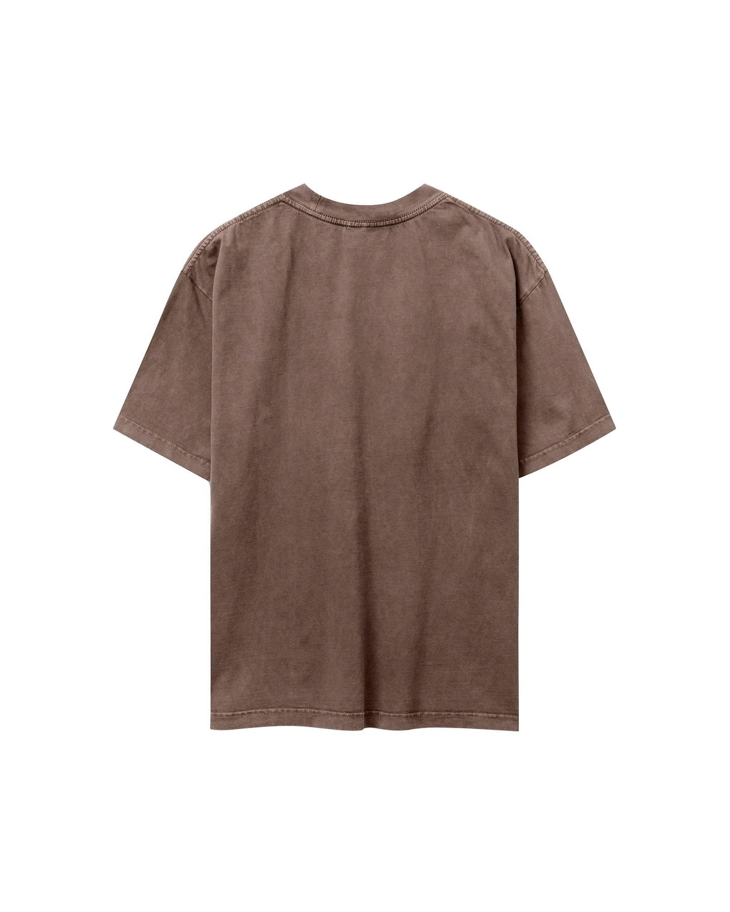 TSW6- BLANK WASHED TEE - BROWN