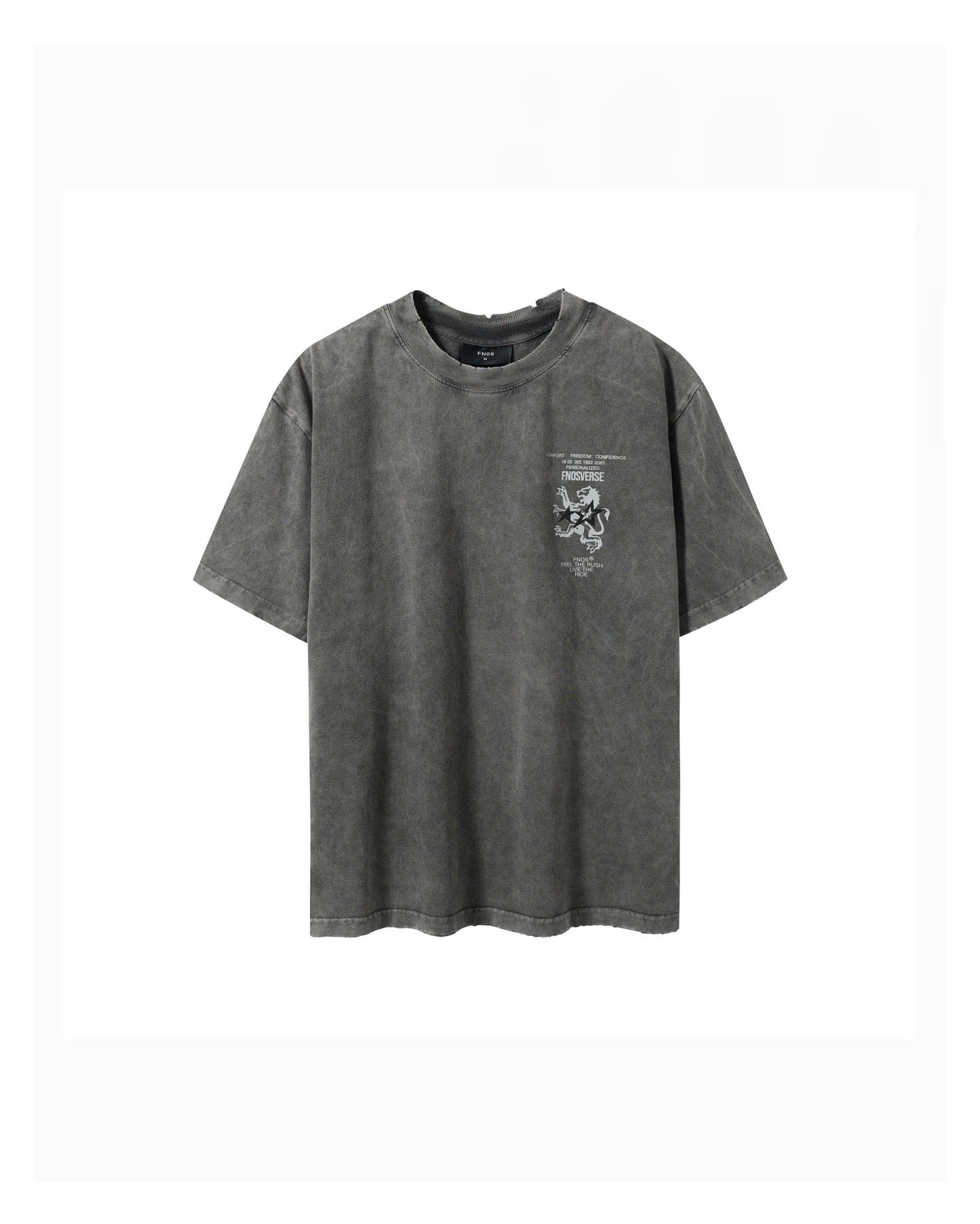 TWG33 - WASHED T-SHIRT WITH HORIZONTAL FLAG - GRAY